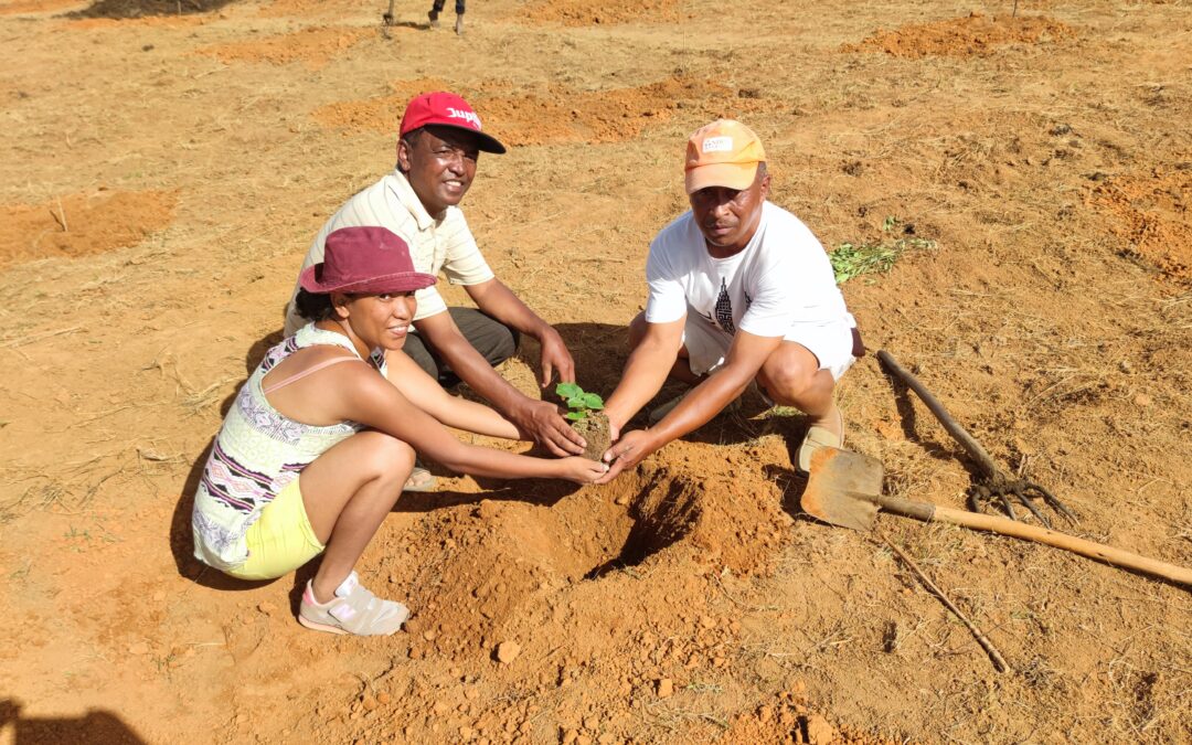Madagaszkár Természeti Környezetének Megőrzése